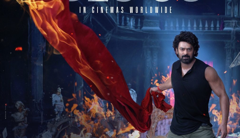 WhatsApp Image 2025-06-03 at 12.56.44_7b204852